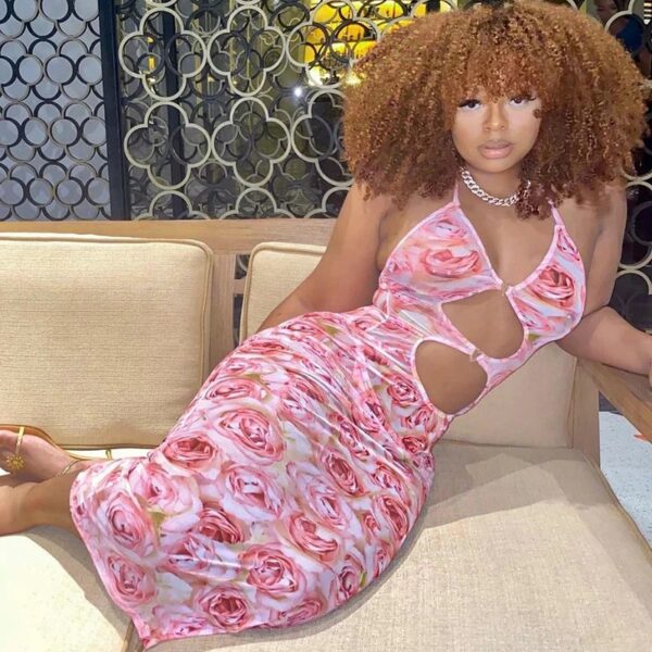 Roses Dress - Image 4